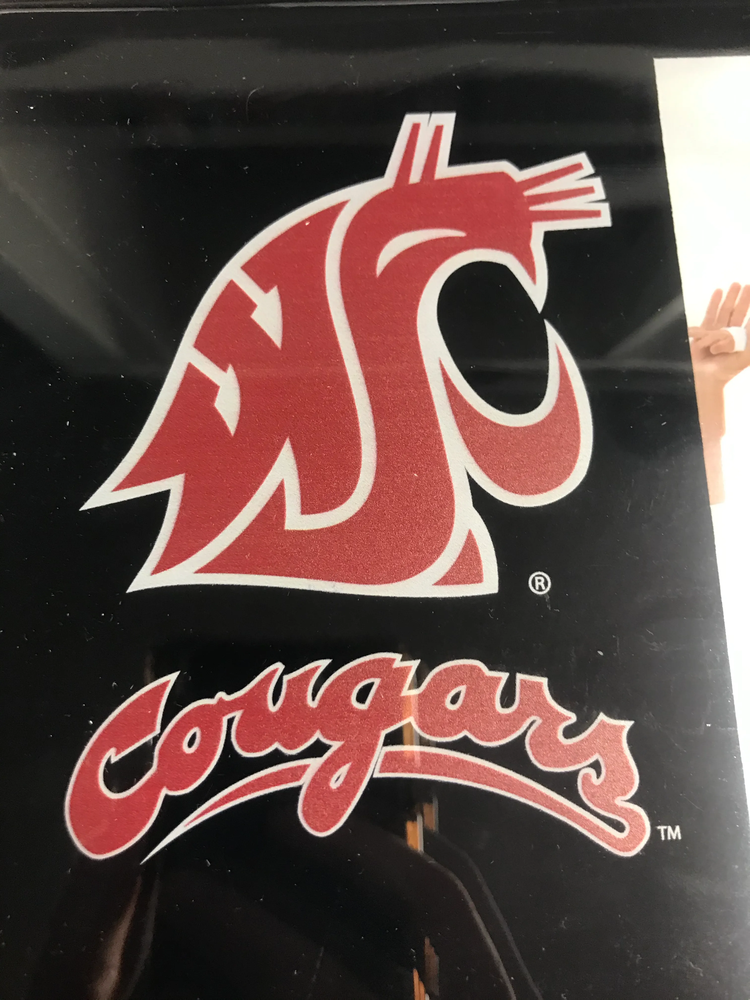 Cougars Black Photo Frame