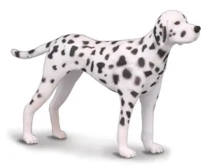 Dalmatian