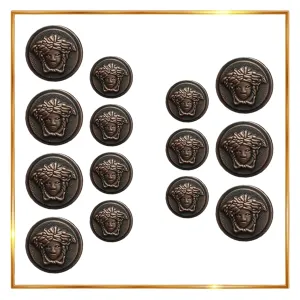 Medusa Metal Shank Buttons(7 Big   7 Small)